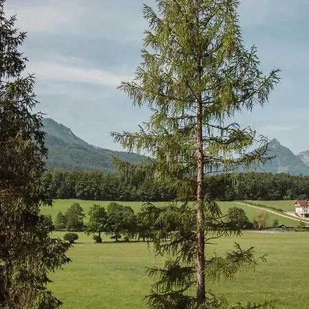 Apartman Hoamhaus Saint Wolfgang