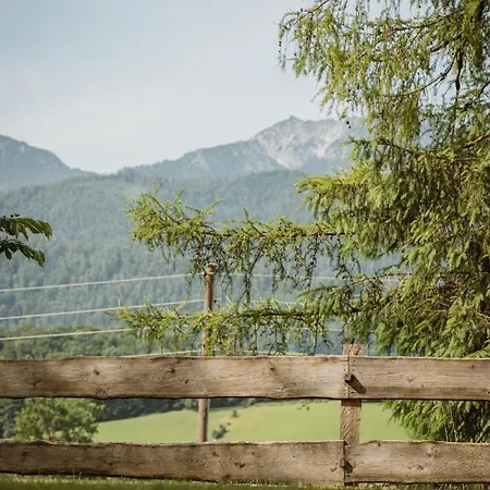 Hoamhaus Apartamento