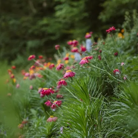 Lejlighed Hoamhaus Saint Wolfgang