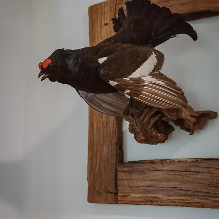 Hoamhaus Apartman Saint Wolfgang