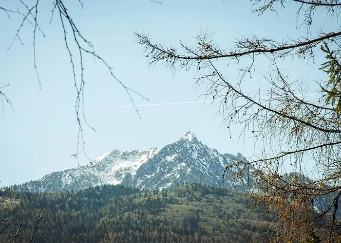 Appartement Hoamhaus Saint Wolfgang