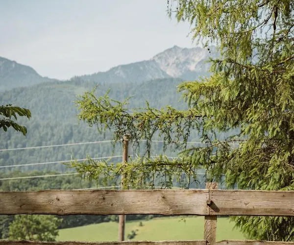 Hoamhaus Appartement