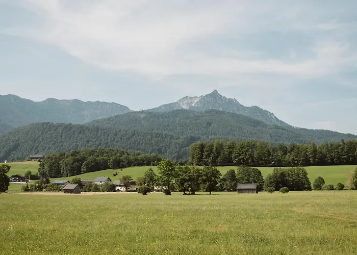 Hoamhaus Appartement