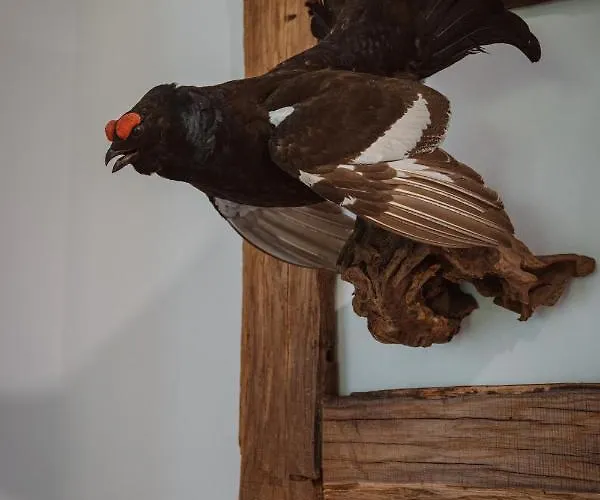 Hoamhaus Appartement Saint Wolfgang