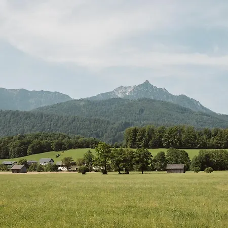 Hoamhaus Appartement