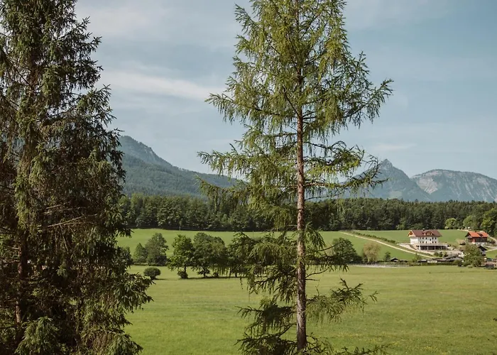 Lägenhet Hoamhaus Saint Wolfgang