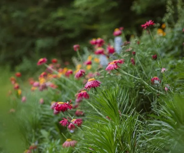 Lägenhet Hoamhaus Saint Wolfgang